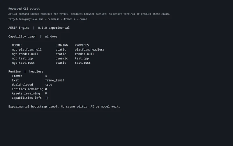 Actual bounded four-frame headless run using the synthetic null-provider and ABI-module fixture.